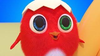 Цыпленок Cuckoo Сборник - Смешной Цыпленок | Серия 1 - мультфильмы для детей 2019