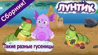 Лунтик 