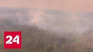 В Красноярском крае продолжают тушить лесные пожары - Россия 24