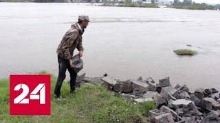 Паводок в Приангарье: вода ушла из 13 населенных пунктов - Россия 24