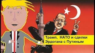 Трамп, НАТО и сделки Эрдогана с Путиным. Zapolskiy мультфильмы