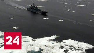 ВМО: Океан превращается в кислоту, а Россия перегревается быстрее остального мира - Россия 24