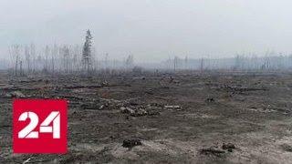 Лесной пожар в Бурятии: горят две тысячи гектаров - Россия 24
