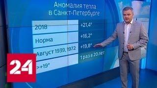 "Погода 24": большую часть России ожидают сильные дожди - Россия 24
