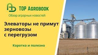 Элеваторы не примут зерновозы с перегрузом. TOP Agrobook: обзор аграрных новостей