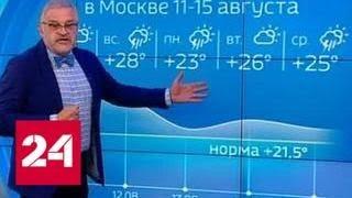 В Россию возвращается аномальная жара - Россия 24