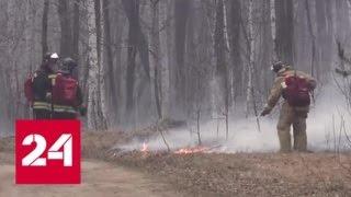 Режим ЧС введен в пяти районах Курганской области из-за природных пожаров - Россия 24