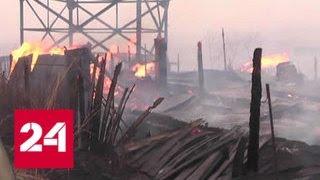 Рослесхоз: ситуация с пожарами может обостриться в ближайшее время - Россия 24