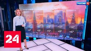 Новая волна потепления идет в столичный регион - Россия 24