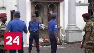 МИД: россияне не пострадали при взрывах на Шри-Ланке - Россия 24