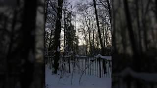 Релакс природа музыка для души и жизни 31