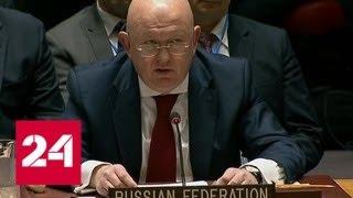 Небензя: стыдно, что атаку на Сирию обосновали статьей Конституции США - Россия 24