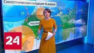 "Погода 24": В Москве рекордное потепление - Россия 24