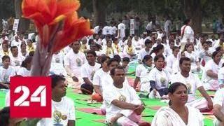 Индия отметила День йоги массовым исполнением асан - Россия 24