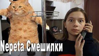 СТРАШНЫЙ КОТ НАПАЛ НА НЕПЕТУ!!! "Nepeta Смешилки"