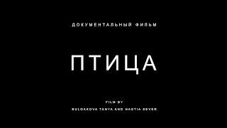 Документальный фильм ПТИЦА