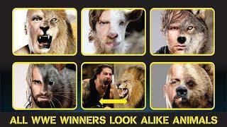 All WWE Wrestlers Look A Like Animals (2019)