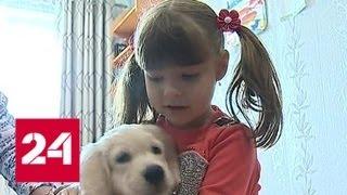 Владимир Путин исполнил мечту девочки-аутиста из Приморья и подарил ей собаку - Россия 24