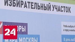 Дачники смогут проголосовать на выборах мэра Москвы не отходя от огорода - Россия 24