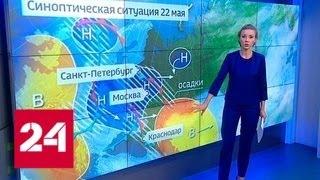 "Погода 24": в Европейской России жару смягчат кратковременные дожди - Россия 24