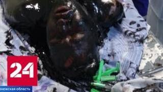 Мужчина упал в реку мазута и чудом остался жив - Россия 24