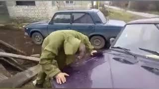 Подборочка для поднятия настроения