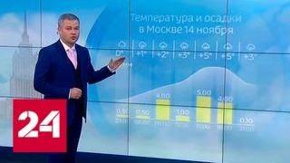 "Погода 24": Европа и Россия под властью температурных аномалий - Россия 24