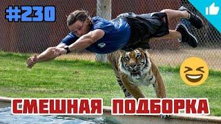 ЛУЧШИЕ ПРИКОЛЫ 2020 Декабрь #230 Ржач до слёз, угар, приколы и Добро для души!