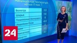 "Погода 24": в Центральную Россию пришли заморозки - Россия 24