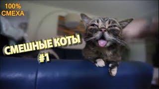 СМЕШНЫЕ КОТЫ С ОЗВУЧКОЙ и БЕЗ! ПРИКОЛЫ С КОТАМИ 2018 #1