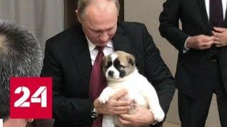 Два саммита в Сочи: в резиденции Путина появился новый обитатель - Россия 24