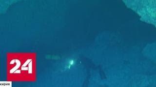 В одной из самых больших подводных пещер открыт новый вид жизни - Россия 24
