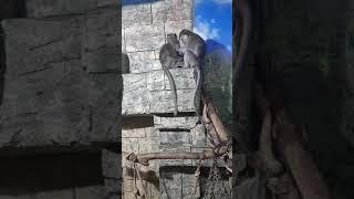 Не подходи ко мне