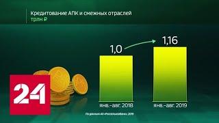 Россия в цифрах. Кредитование экономики Россельхозбанком - Россия 24