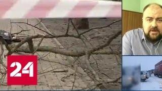 Во время урагана в Ростове-на-Дону упавшей веткой убило человека - Россия 24