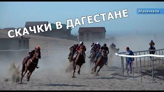 В Дагестане прошли крупные скачки в честь праздника «Курбан-байрам»