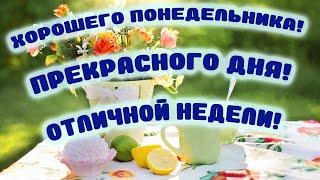 Хорошего понедельника! Хорошего дня! Хорошей недели!