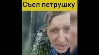 Приколы. смешные видео про животных и людей! :)
