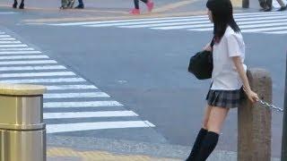 Япония влог. Пять утра на Сибуя, уличное карате, школьницы, японская провинция