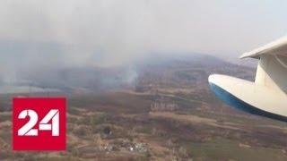 Более 800 человек продолжают тушить лесные пожары на Дальнем Востоке - Россия 24