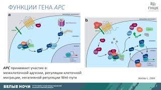 Как можно увеличить выявляемость мутаций при наследственном колоректальном раке (Цуканов А.С.)
