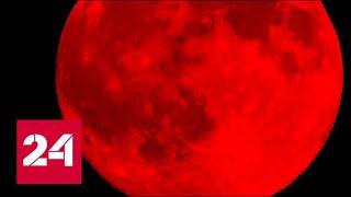 "Кровавая луна" зависнет над Землей на четыре часа - Россия 24