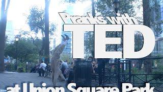 theWNK Playlistlivebear EP8: TED in union square park