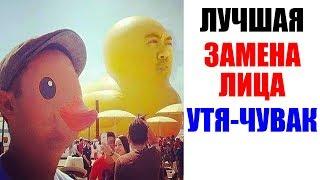 Лютые приколы, мемы. Лучшая замена лица, Утя-Чувак!