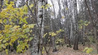 Релакс природа музыка для души и жизни 15
