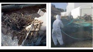 Fukushima Nuclear News Jan 17th 2019 - Homeless Meltdown Workers Given Paper Suits is Criminal