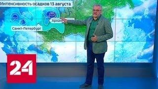 "Погода 24": ливни и грозы собьют жару в Европейской России - Россия 24