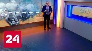 "Погода 24": итоги недели - Россия 24