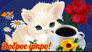 С Добрым Утречком, Четверг! Замечательного настроения! 17 ноября.