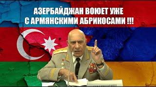 Генерал Тер-Григорьянц. Война Азербайджана с армянскими абрикосами